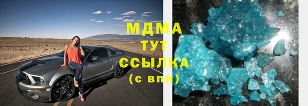 прущие грибы Верея