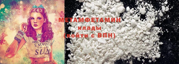 прущие грибы Верея