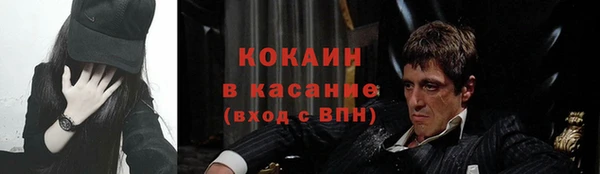 прущие грибы Верея