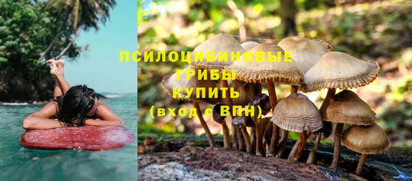 бошки Верхнеуральск