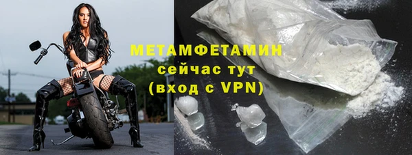 прущие грибы Верея