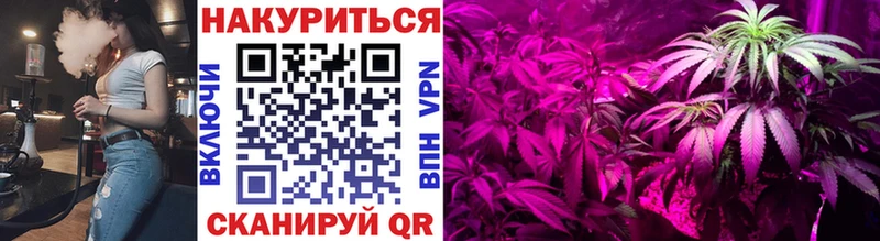 Бошки марихуана план  даркнет сайт  Жуков 